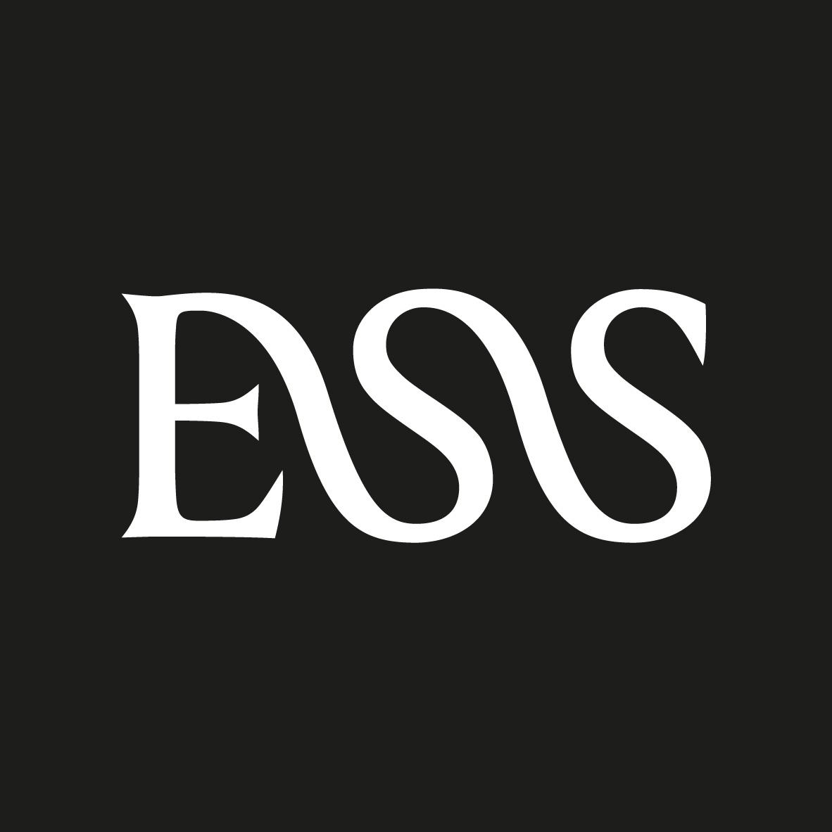 Essentialist | A world built by curious minds