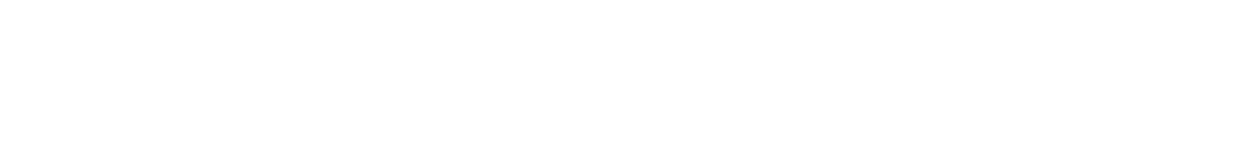 Essentialist Logo